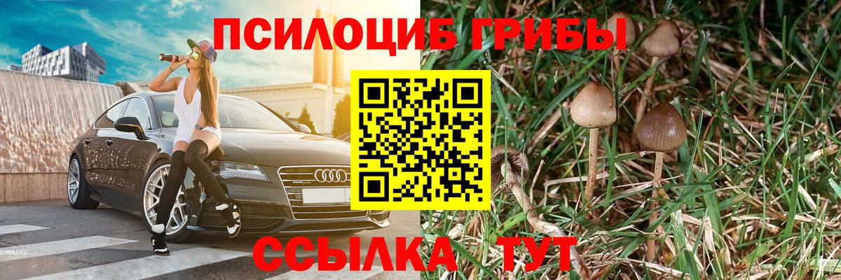 продажа наркотиков  Псилоцибиновые грибы Magic Shrooms  Зерноград  Вход с VPN  Галлюциногенные грибы MAGIC MUSHROOMS 